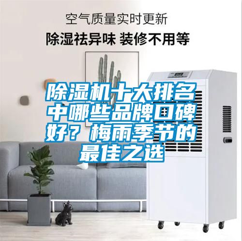 除濕機(jī)十大排名中哪些品牌口碑好？梅雨季節(jié)的最佳之選