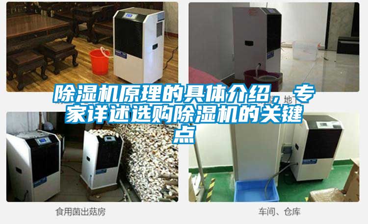 除濕機(jī)原理的具體介紹，專家詳述選購(gòu)除濕機(jī)的關(guān)鍵點(diǎn)