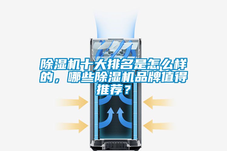 除濕機(jī)十大排名是怎么樣的，哪些除濕機(jī)品牌值得推薦？