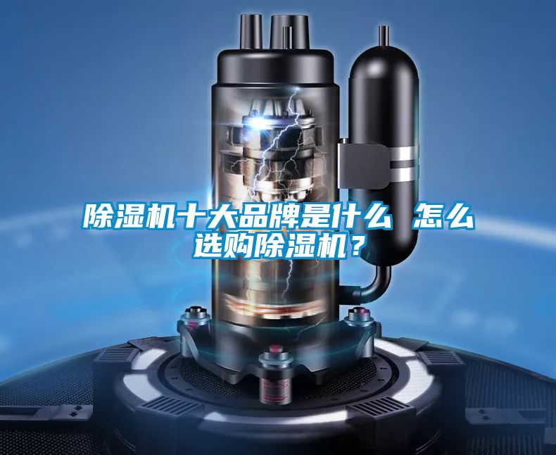 除濕機(jī)十大品牌是什么 怎么選購除濕機(jī)？