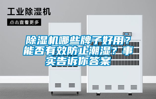 除濕機哪些牌子好用？能否有效防止潮濕？事實告訴你答案