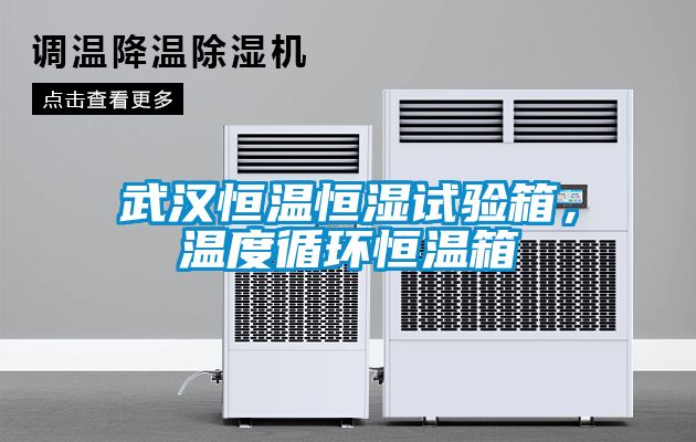 武漢恒溫恒濕試驗(yàn)箱，溫度循環(huán)恒溫箱