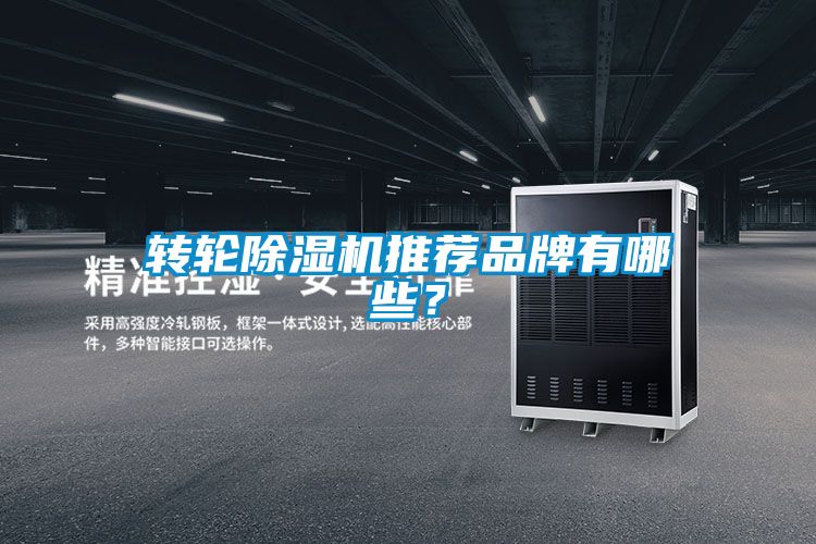 轉輪除濕機推薦品牌有哪些？