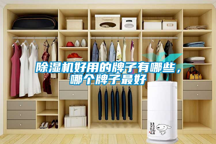除濕機好用的牌子有哪些，哪個牌子最好
