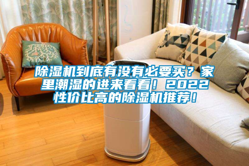 除濕機(jī)到底有沒有必要買？家里潮濕的進(jìn)來看看！2022性價比高的除濕機(jī)推薦！