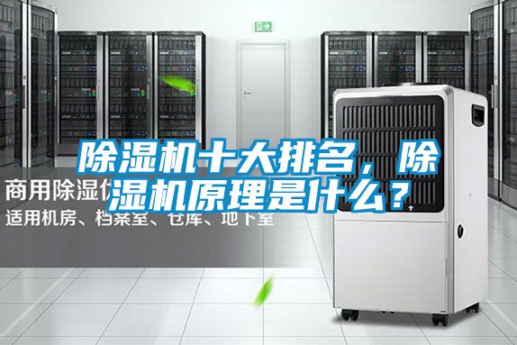 除濕機(jī)十大排名，除濕機(jī)原理是什么？