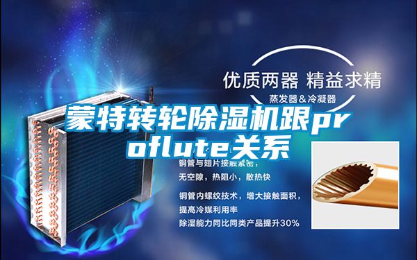 蒙特轉(zhuǎn)輪除濕機跟proflute關系
