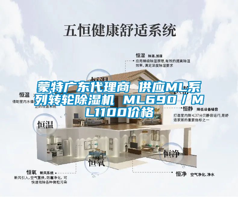 蒙特廣東代理商 供應ML系列轉(zhuǎn)輪除濕機 ML690／ML1100價格