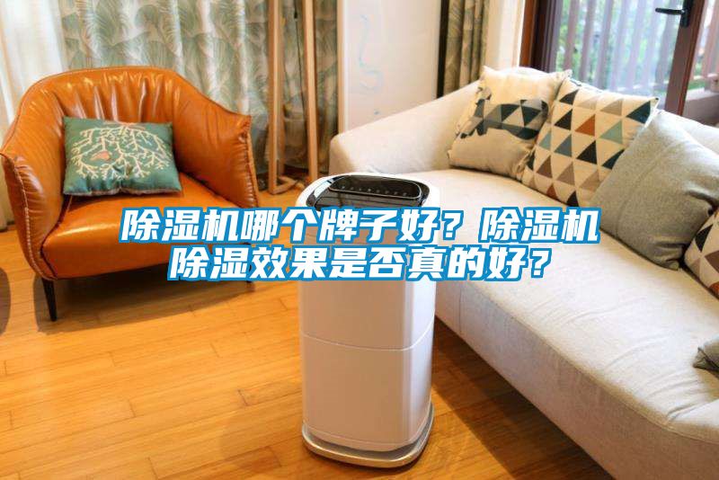除濕機哪個牌子好？除濕機除濕效果是否真的好？