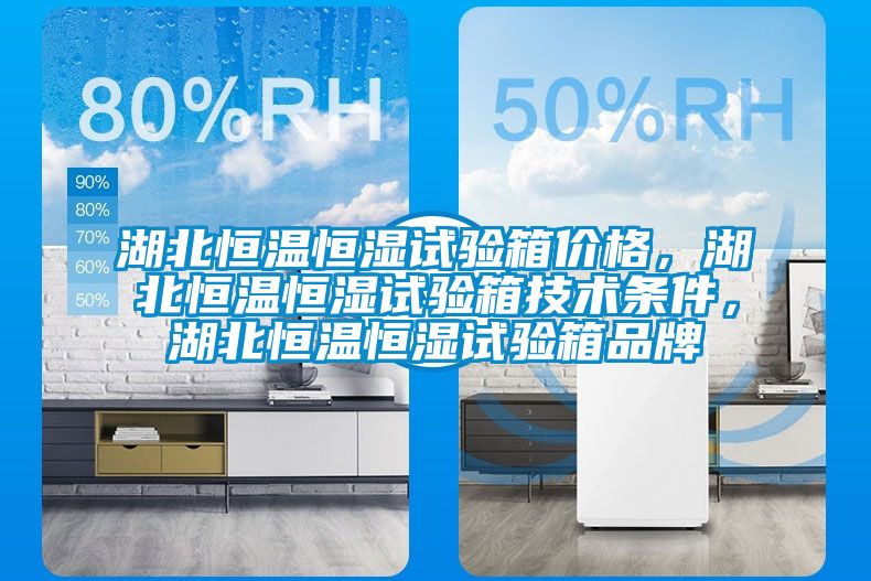 湖北恒溫恒濕試驗箱價格，湖北恒溫恒濕試驗箱技術(shù)條件，湖北恒溫恒濕試驗箱品牌