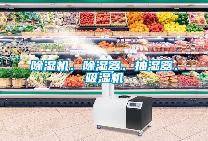 除濕機(jī)、除濕器、抽濕器、吸濕機(jī)