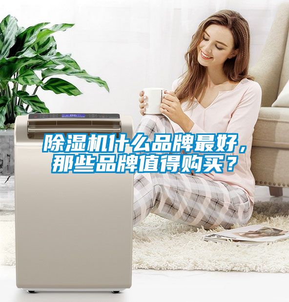 除濕機什么品牌最好，那些品牌值得購買？