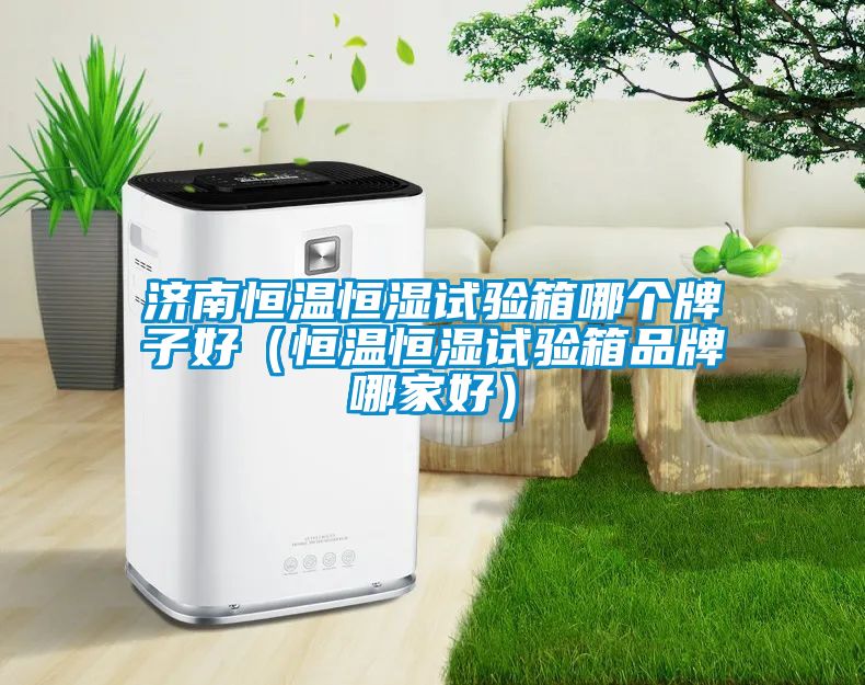 濟(jì)南恒溫恒濕試驗(yàn)箱哪個牌子好（恒溫恒濕試驗(yàn)箱品牌哪家好）