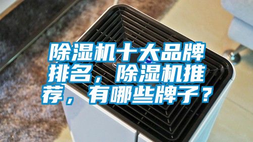 除濕機十大品牌排名，除濕機推薦，有哪些牌子？