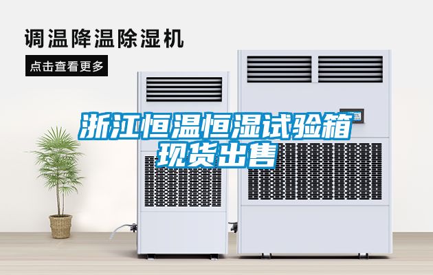 浙江恒溫恒濕試驗箱現貨出售