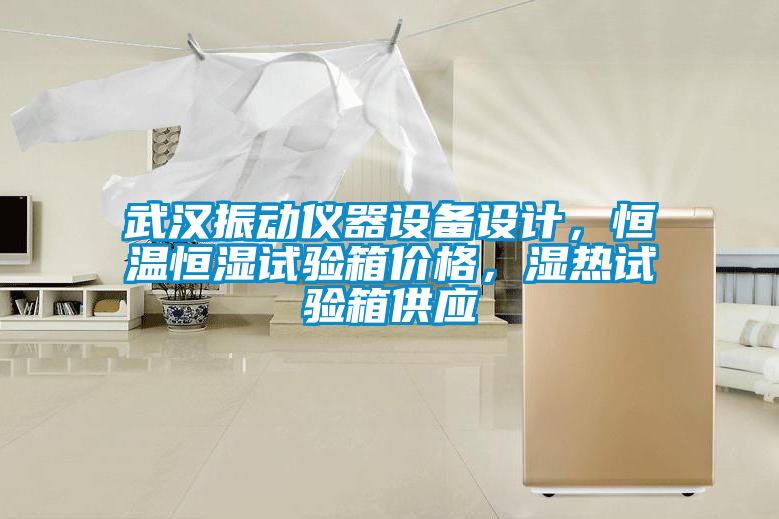 武漢振動(dòng)儀器設(shè)備設(shè)計(jì)，恒溫恒濕試驗(yàn)箱價(jià)格，濕熱試驗(yàn)箱供應(yīng)