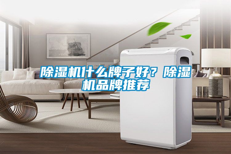 除濕機什么牌子好？除濕機品牌推薦