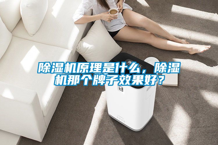 除濕機(jī)原理是什么，除濕機(jī)那個(gè)牌子效果好？