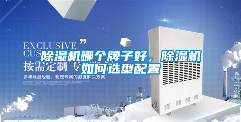 除濕機哪個牌子好，除濕機如何選型配置