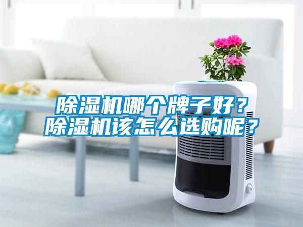 除濕機哪個牌子好？除濕機該怎么選購呢？
