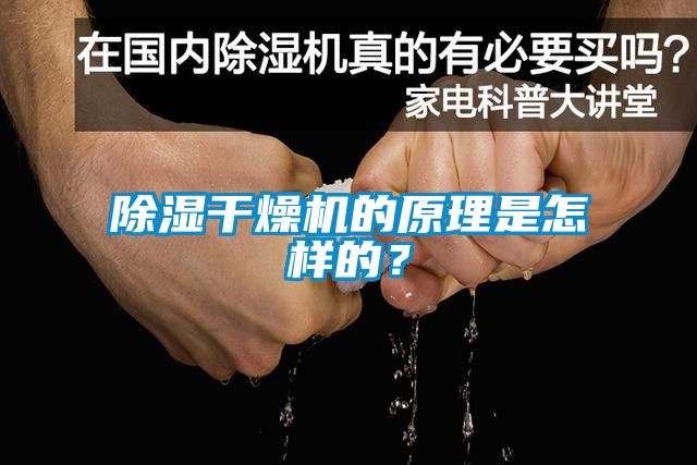 除濕干燥機(jī)的原理是怎樣的？