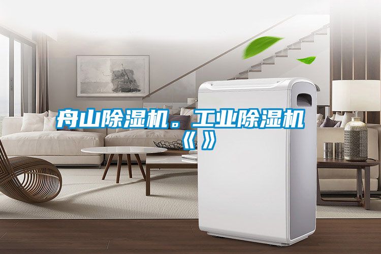 舟山除濕機。工業(yè)除濕機《》