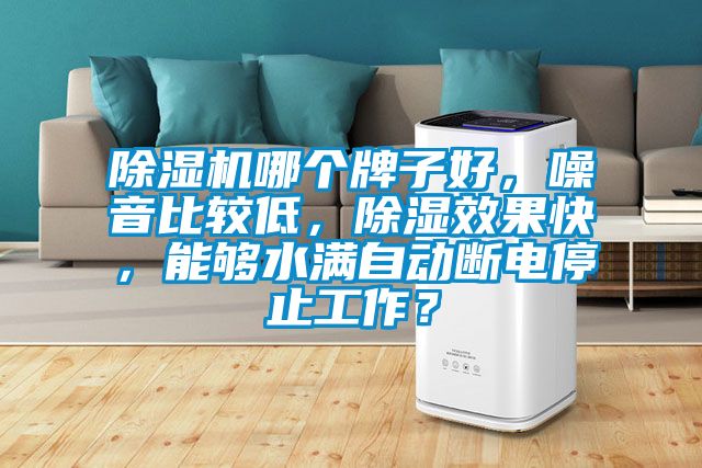 除濕機(jī)哪個牌子好，噪音比較低，除濕效果快，能夠水滿自動斷電停止工作？