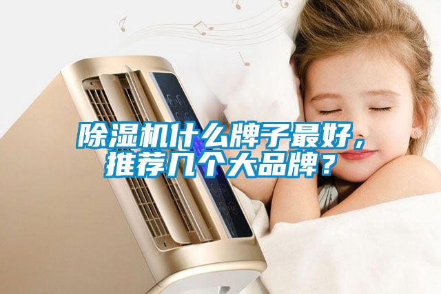 除濕機什么牌子最好，推薦幾個大品牌？