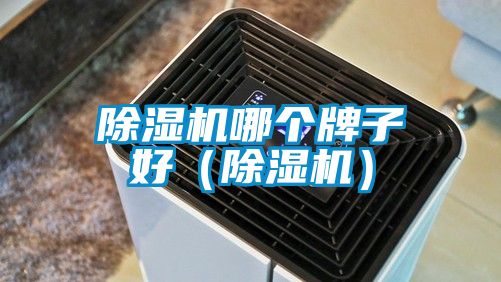 除濕機(jī)哪個牌子好（除濕機(jī)）