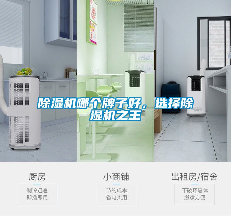 除濕機哪個牌子好，選擇除濕機之王