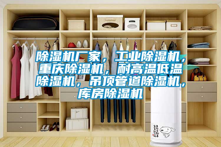 除濕機(jī)廠家，工業(yè)除濕機(jī)，重慶除濕機(jī)，耐高溫低溫除濕機(jī)，吊頂管道除濕機(jī)，庫(kù)房除濕機(jī)