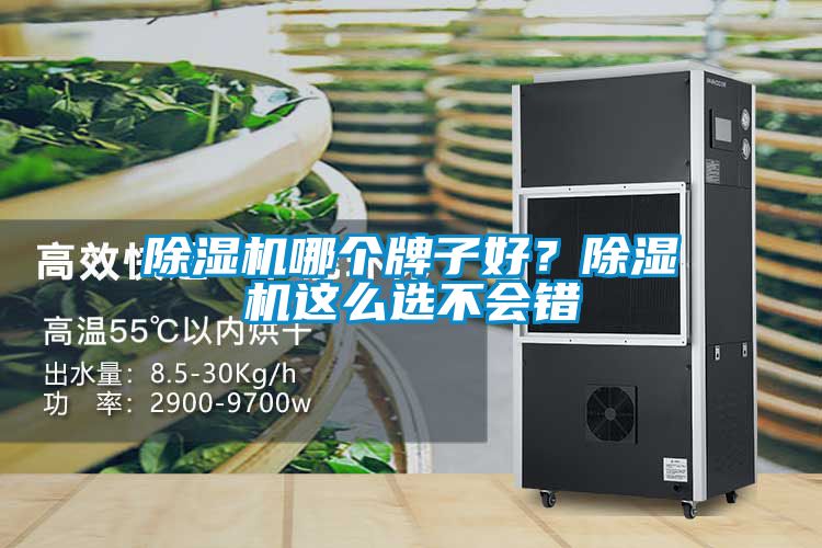 除濕機哪個牌子好？除濕機這么選不會錯