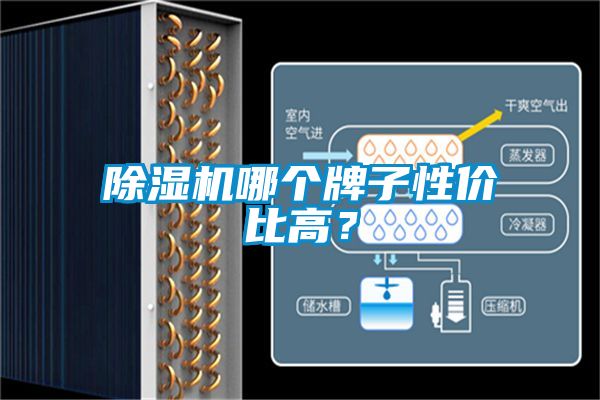 除濕機哪個牌子性價比高？