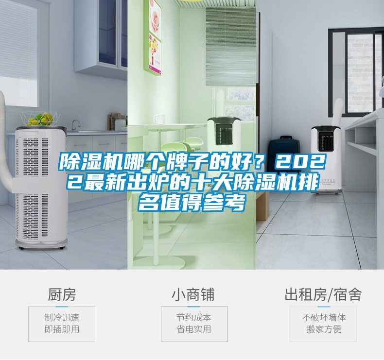 除濕機哪個牌子的好？2022最新出爐的十大除濕機排名值得參考