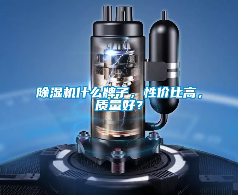 除濕機(jī)什么牌子，性價(jià)比高，質(zhì)量好？