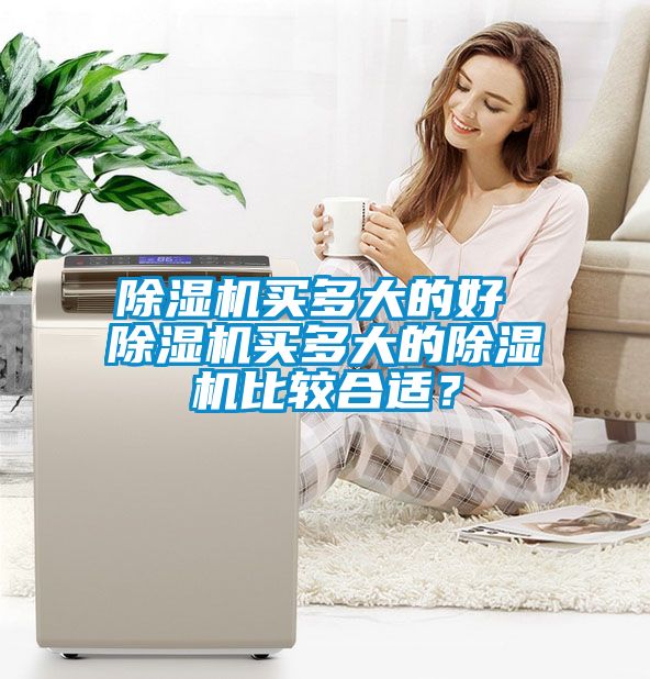 除濕機(jī)買(mǎi)多大的好 除濕機(jī)買(mǎi)多大的除濕機(jī)比較合適？