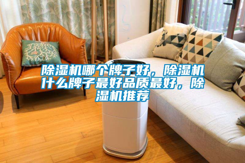除濕機哪個牌子好，除濕機什么牌子最好品質(zhì)最好，除濕機推薦
