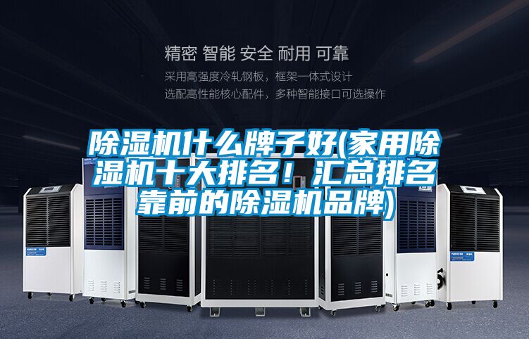 除濕機(jī)什么牌子好(家用除濕機(jī)十大排名！匯總排名靠前的除濕機(jī)品牌)