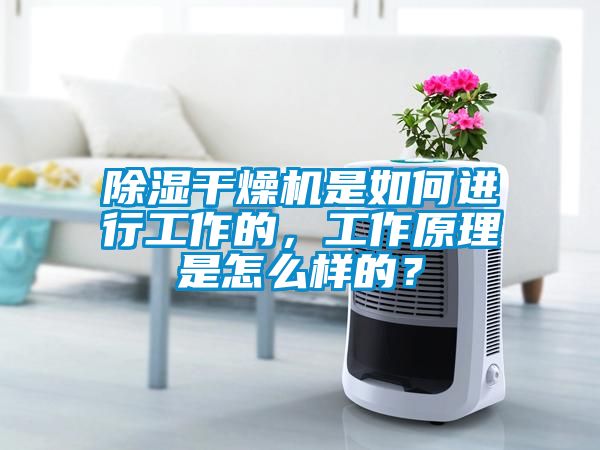 除濕干燥機(jī)是如何進(jìn)行工作的，工作原理是怎么樣的？