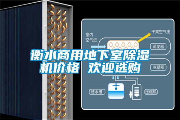 衡水商用地下室除濕機(jī)價格 歡迎選購