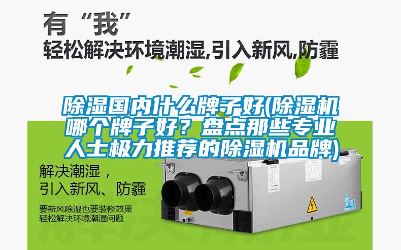 除濕國內什么牌子好(除濕機哪個牌子好？盤點那些專業(yè)人士極力推薦的除濕機品牌)