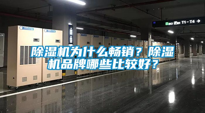 除濕機(jī)為什么暢銷？除濕機(jī)品牌哪些比較好？