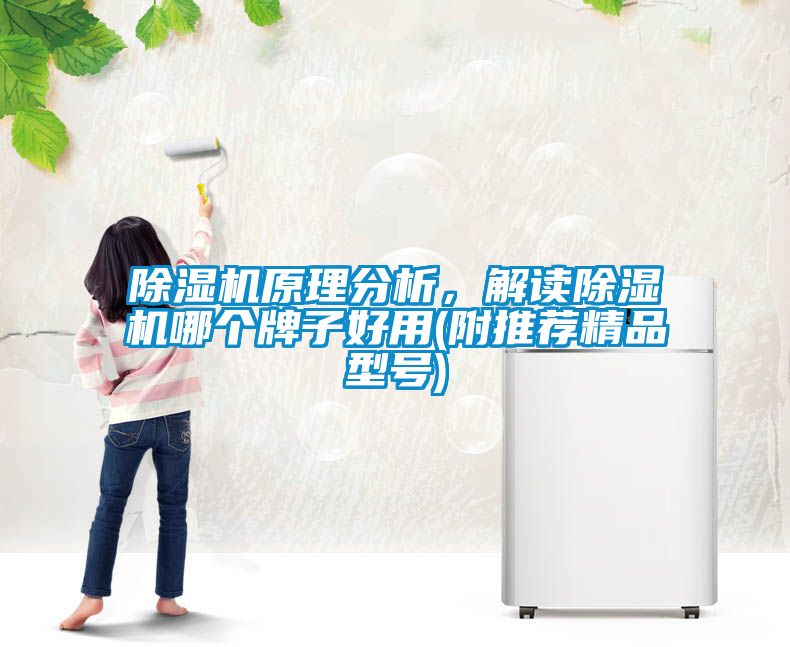 除濕機(jī)原理分析，解讀除濕機(jī)哪個(gè)牌子好用(附推薦精品型號(hào))