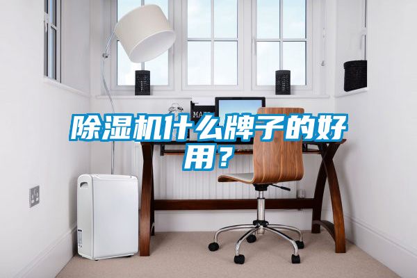 除濕機(jī)什么牌子的好用？
