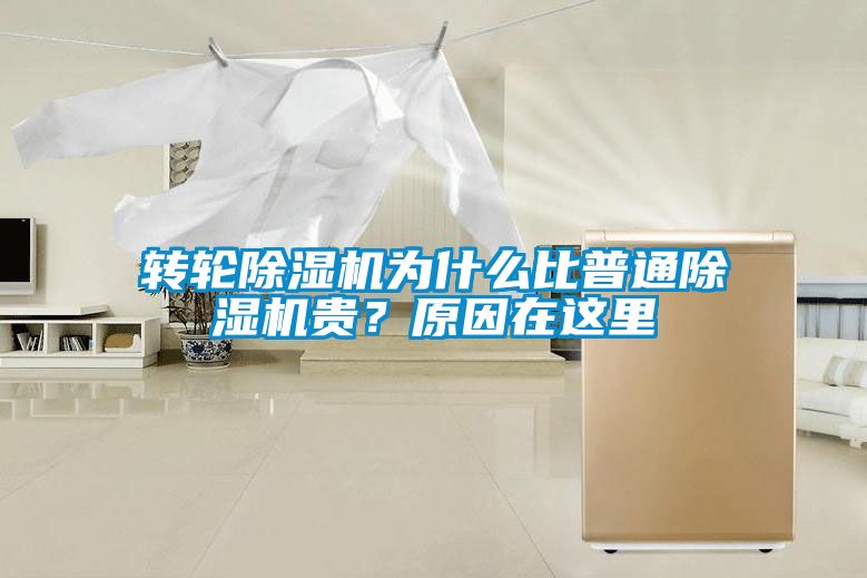 轉(zhuǎn)輪除濕機為什么比普通除濕機貴？原因在這里