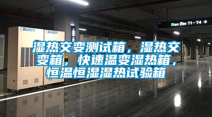 濕熱交變測試箱，濕熱交變箱，快速溫變濕熱箱，恒溫恒濕濕熱試驗(yàn)箱