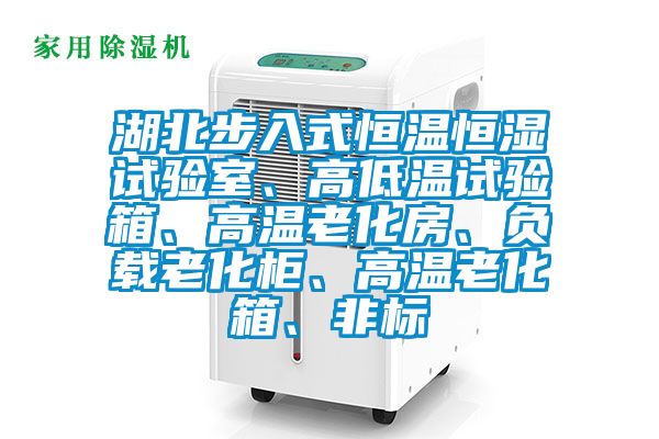湖北步入式恒溫恒濕試驗室、高低溫試驗箱、高溫老化房、負載老化柜、高溫老化箱、非標