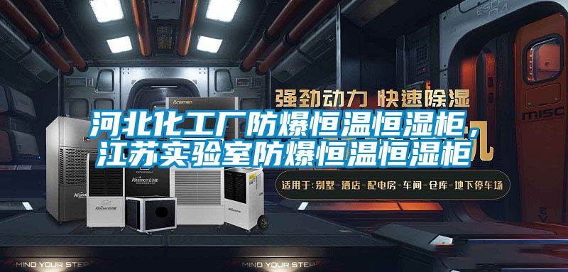 河北化工廠防爆恒溫恒濕柜，江蘇實(shí)驗(yàn)室防爆恒溫恒濕柜