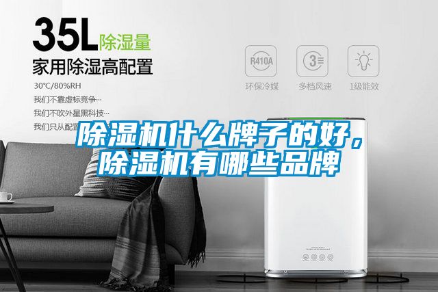 除濕機(jī)什么牌子的好，除濕機(jī)有哪些品牌