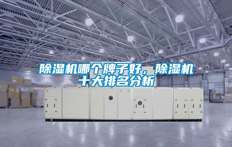 除濕機哪個牌子好，除濕機十大排名分析